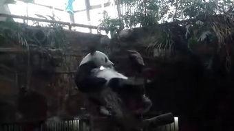 国产免费挠脚心视频,国产温馨互动瞬间