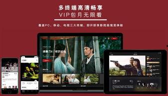 国产正版视频,匠心独运，光影交织的艺术盛宴