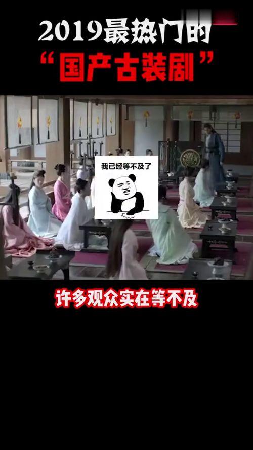 国产打屁股视频观看网站,网络背后的真实世界