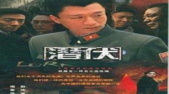 国产大陆经典视频,大陆经典影视作品中的时代印记