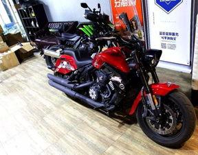 国产大排摩旅视频,国产大排摩旅视频深度解析