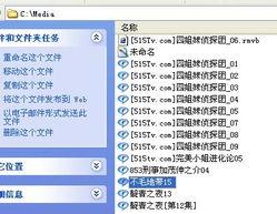 国产版的日语视频,探寻东方魅力与时代变迁