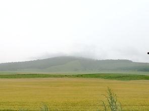 靑青草原国产 免费视频,免费畅享国产视频盛宴