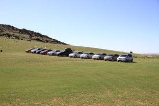 靑青草原国产 免费视频,免费畅享国产视频盛宴