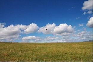 靑青草原国产 免费视频,免费畅享国产视频盛宴