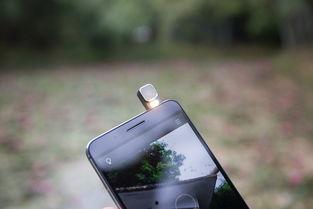 国产手机单挑视频网站,单挑视频网站上的实力较量