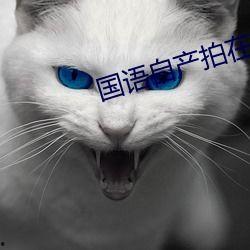 国产自产直播视频,自产视频引领潮流