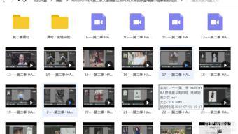 国产摄影头精品破解视频,破解视频深度解析