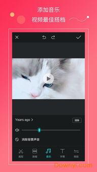 国产贴纸怎么自制视频的,手把手教你自制国产贴纸创意视频教程