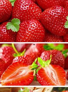 国产在线网站草莓视频,国产在线娱乐新潮流