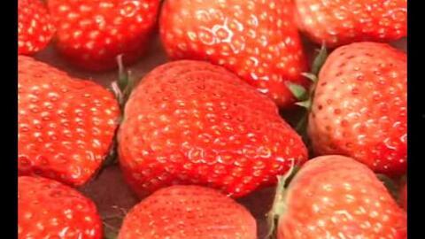 国产在线网站草莓视频,国产在线娱乐新潮流