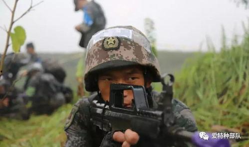 解说国产特种兵视频大全