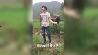 国产短片福利视频下载,独家下载，尽享视听盛宴