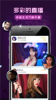 夜蒲视频国产,揭秘本土夜生活文化新篇章