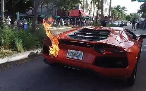 国产大牛改装保护杠视频,硬核升级演绎越野风采