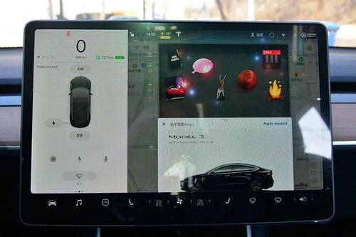 国产特斯拉拆机视频播放