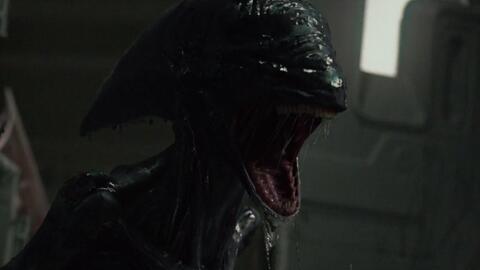 国产版异形狩猎解说视频,惊悚探险，揭秘未知生物之谜