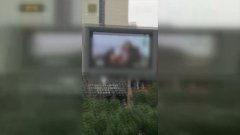 色国产精彩视频,色彩斑斓的精彩瞬间