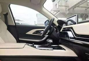 国产车内饰做工视频大全,视频大全深度解析