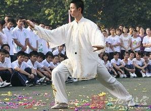 国产太极跑步视频,健康跑动——国产太极跑步视频赏析