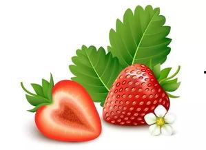 在线日韩国产草莓视频,在线直播带你领略韩产草莓魅力