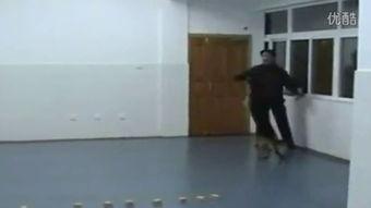 女厕所撒尿视频国产,国产品牌如何应对网络争议