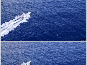 国产游艇游玩视频大全集,国产游艇游玩视频大全集精彩回顾