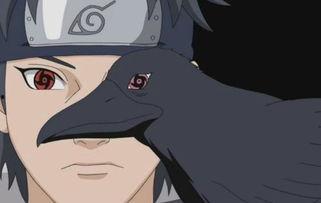 国产漫画女主角开场视频  第3张