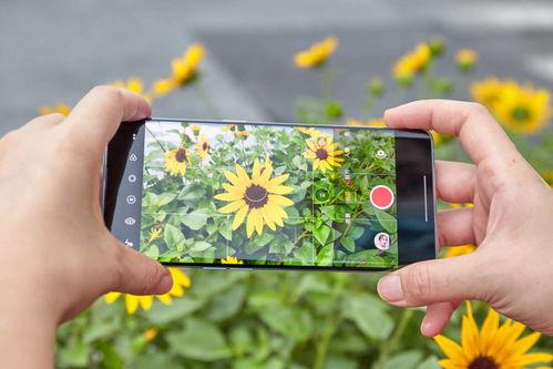 果粉骂国产手机视频,国产手机崛起，视频引发骂战，国产手机能否逆袭？