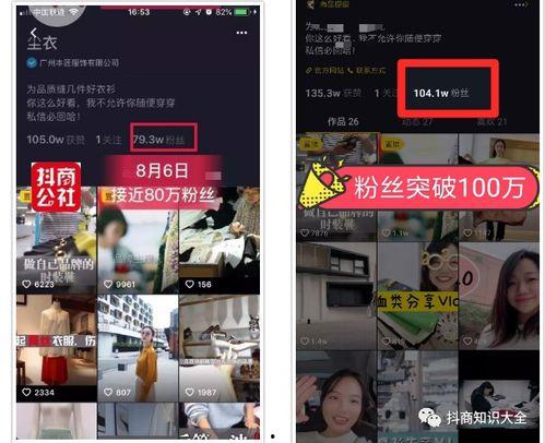69公社视频国产,揭秘国产科幻巨制背后的创新与突破