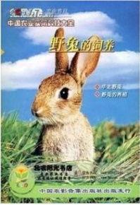 最新国产中文野兔视频在线,探寻自然之美，感受野性魅力  第2张