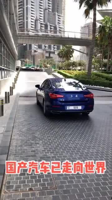 迪拜国产车事件视频播放  第3张
