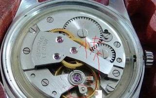 国产机械表安装视频,一窥精湛工艺与匠心独运