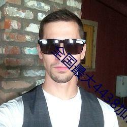 国产大jiji网站免费视频,畅享海量精彩，轻松解锁视听盛宴  第2张