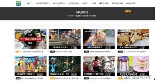 国产抖音素材视频下载