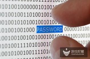 国产第114页视频,揭秘视频背后的精彩瞬间  第3张