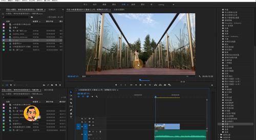 新国产色系视频下载,视频下载背后的文化魅力