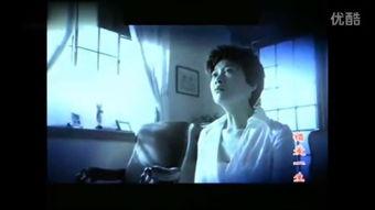 国产胆前级试听视频,音质盛宴，揭秘国产音响新高度