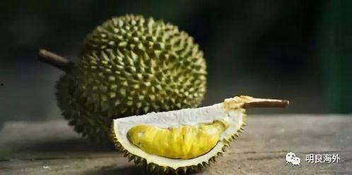 久热国产榴莲视频在线,久热视频带你领略热带风情  第3张