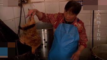 国产干老人视频,揭秘老年生活新风尚  第3张