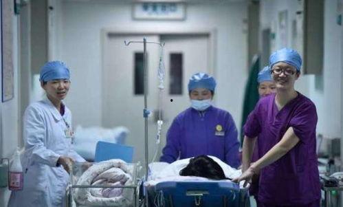 外国产房顺产过程视频播放,真实记录生命诞生的震撼瞬间  第1张