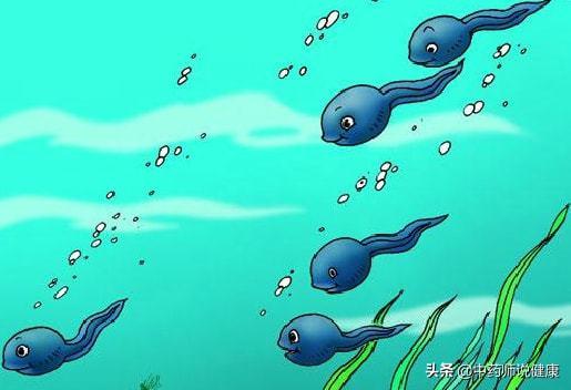 蝌蚪国产视窝视频在线,蝌蚪视频带你领略国内影视盛宴  第2张