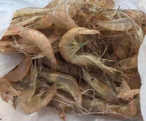 如何剥国产鳌虾视频,国产鳌虾美味解锁指南  第2张
