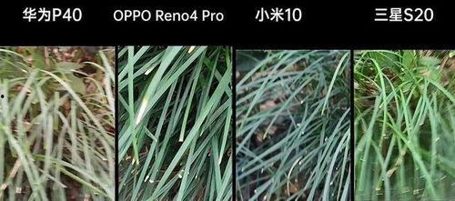 国产青草视频  第3张