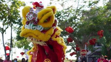 舞狮国产动画视频下载