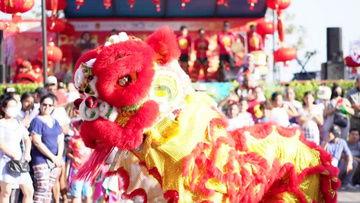 舞狮国产动画视频下载  第2张